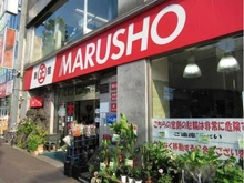 【東京都/新宿区舟町】シティタワー四谷 丸正食品総本店（現地より約230m）