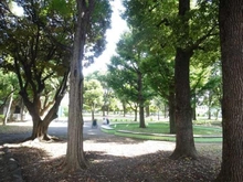 【東京都/港区南青山】オープンレジデンス南青山イーストテラス  青山公園（現地より約180m）