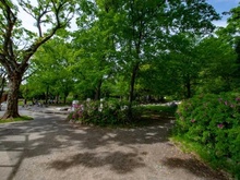 【東京都/新宿区若葉】ザ・パークハウス四谷若葉レジデンス  みなみもと町公園（現地より約500m）