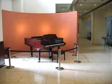 【埼玉県/川口市元郷】エルザタワー32 共用部