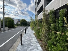 【東京都/北区浮間】アトラス北赤羽 前面道路