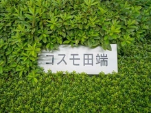 【東京都/北区田端新町】コスモ田端 マンション表札