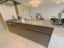 【京都府/京都市中京区下丸屋町】レスタージュ御池高瀬川 キッチン