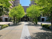 【京都府/京都市中京区壬生辻町】ライオンズマンション四条大宮ガーデンシティ アプローチ