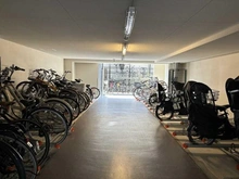 【京都府/京都市中京区壬生朱雀町】ジオ京都二条 駐輪場