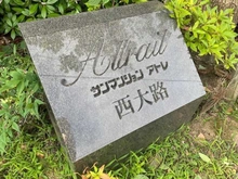 【京都府/京都市下京区七条御所ノ内中町】サンマンションアトレ西大路 マンション表札