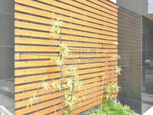 【京都府/京都市山科区安朱中小路町】ファインフラッツ京都山科 マンション表札