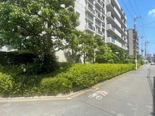 【京都府/京都市右京区西院久田町】レックスシティ京都西院 前面道路