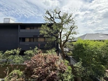 【京都府/京都市左京区岡崎天王町】岡崎ガーデンズ 眺望