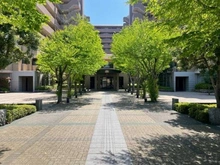 【京都府/京都市中京区壬生辻町】ライオンズマンション四条大宮ガーデンシティ アプローチ