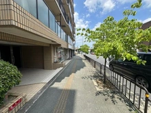 【京都府/京都市伏見区桃山筒井伊賀東町】コスモ丹波橋 外観