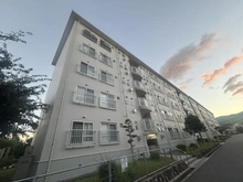 【京都府/長岡京市八条が丘】長岡天神ハイツ 7棟 外観：全18棟/左側