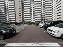 【京都府/京都市南区西九条南田町】九条住宅 Ⅽ棟 駐車場