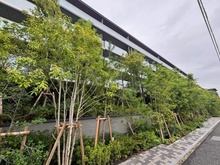【京都府/京都市左京区松ケ崎横縄手町】プレミスト京都松ヶ崎 外観