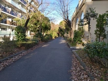 【東京都/八王子市松が谷】ヴェレーナ多摩センター 前面道路