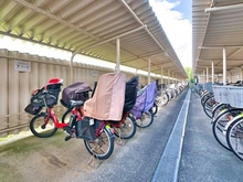 【東京都/江東区豊洲】シティコープ豊洲 駐輪場