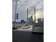 【東京都/江東区新大橋】クレッセント東京ヴュータワー  新大橋（現地より約150m）：隅田川にかかる橋（夜はライトアップされます。） ※点検などによりライトアップされない場合もあります。