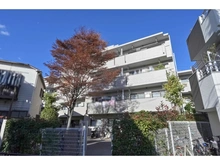 【東京都/葛飾区宝町】セントエルモお花茶屋 外観
