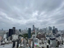 【東京都/港区芝】クレストプライムタワー芝 眺望