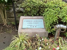 【神奈川県/横浜市青葉区桜台】コスモ青葉台シェル・ヴェール 弐番館 マンション表札