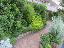 【神奈川県/横浜市泉区上飯田町】いずみ中央ガーデンハウス アプローチ