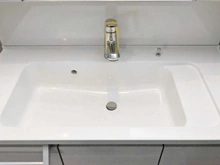 【神奈川県/横浜市磯子区東町】ブライト横濱根岸 洗面所