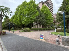 【神奈川県/横浜市泉区緑園】サン・ステージ緑園都市東の街4番館 アプローチ