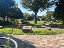 【神奈川県/横浜市泉区領家】ステージ山手台サウス 二番館 敷地内：公園