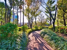 【東京都/港区港南】パークタワー品川ベイワード 敷地内