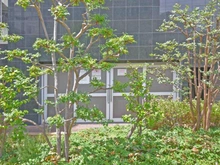 【大阪府/大阪市天王寺区空清町】ライオンズマンション清水谷公園 ゴミ置き場