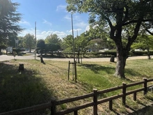 【兵庫県/尼崎市武庫豊町】ローレル武庫之荘 西武庫公園（現地より約550m）：