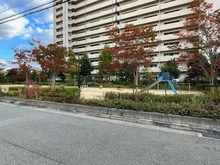 【兵庫県/尼崎市上坂部】イニシア塚口 サウスフィールドブライトコート 杭の本公園（現地より約20m）：