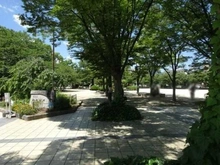 【兵庫県/西宮市南甲子園】クレヴィア甲子園  網引公園（現地より約190m）