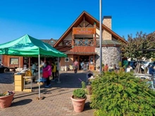 【千葉県/習志野市奏の杜】ザ・パークハウス津田沼奏の杜テラス  ピーターパン奏の杜店（現地より約700m）