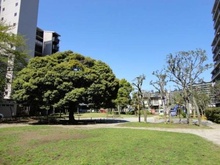 【千葉県/習志野市谷津】津田沼アカシアハイツ　 2号棟 敷地内