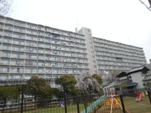 【千葉県/習志野市津田沼】菊田ハイツ 外観