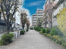 【東京都/西東京市柳沢】ザ・ガーデンハウス武蔵野 前面道路