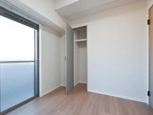 【埼玉県/川越市大字鯨井新田】キャッスルメジェール川越デュオステージ 洋室：収納