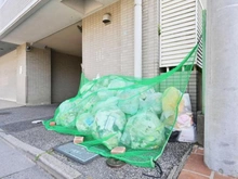 【埼玉県/鶴ヶ島市大字鶴ヶ丘】鶴ヶ島駅通りダイカンプラザ 共用部：ゴミ置き場