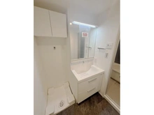 【埼玉県/所沢市大字北秋津】所沢コーポラスA棟 洗面所