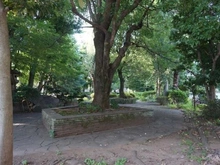 【東京都/練馬区石神井台】上石神井ハイム 4号棟 敷地内