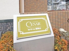 【埼玉県/狭山市新狭山】セザール新狭山 マンション表札