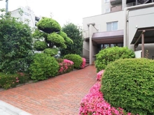 【埼玉県/富士見市西みずほ台】サンライトマンションさつき アプローチ