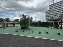 【埼玉県/所沢市若松町】所沢ハイコーポマンション 広場