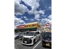 【埼玉県/朝霞市栄町】コトー朝霞中央公園 スギドラッグあさか栄店（現地より約80m）
