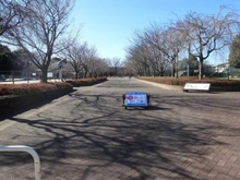 【東京都/西東京市谷戸町】グランジオ武蔵野 西東京いこいの森公園（現地より約200m）