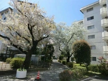 【東京都/練馬区関町南】武蔵野グリーンタウンE棟 敷地内