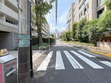 【東京都/港区南青山】南青ハイツ 前面道路（２０２６年８月撮影）