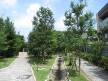 【東京都/武蔵野市御殿山】吉祥寺御殿山HOUSE アプローチ