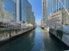 【東京都/品川区東五反田】オーバルコート大崎住宅棟　ザ・パークタワー東京サウス 目黒川まで約７０ｍ　２０２６年４月撮影